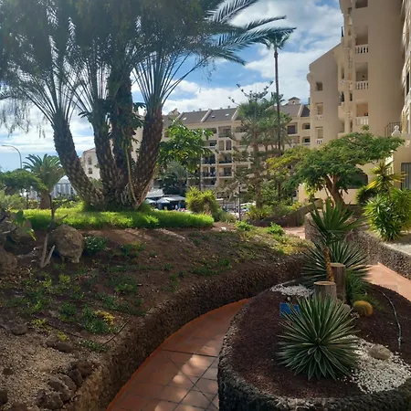 Castle Harbour 460 Apartment
